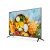 HikVision DS-D5055UC-C