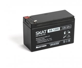 Бастион SKAT SB 1209 фото